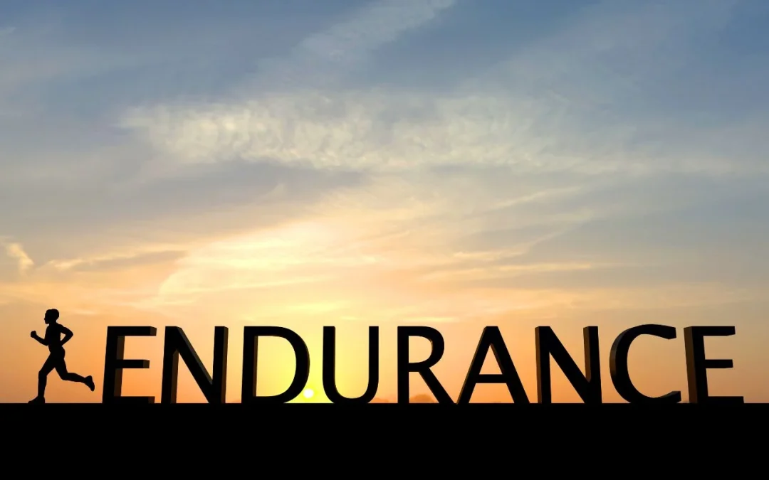 Because of the joy awaiting him, he endured….