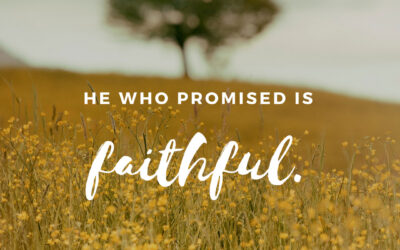 Easter Alive Chapels